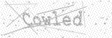 Security Picture (click to change)