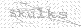 Security Picture (click to change)