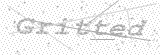 Security Picture (click to change)