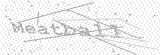 Security Picture (click to change)