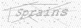 Security Picture (click to change)