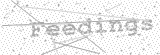 Security Picture (click to change)