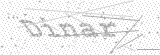 Security Picture (click to change)