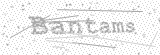 Security Picture (click to change)