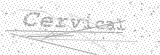 Security Picture (click to change)