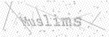 Security Picture (click to change)