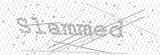Security Picture (click to change)