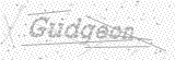 Security Picture (click to change)