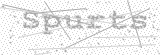 Security Picture (click to change)