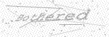 Security Picture (click to change)