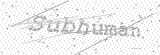 Security Picture (click to change)
