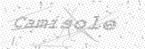 Security Picture (click to change)