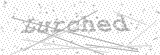Security Picture (click to change)