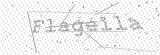 Security Picture (click to change)