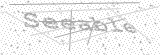 Security Picture (click to change)