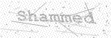 Security Picture (click to change)