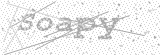 Security Picture (click to change)
