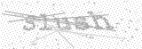 Security Picture (click to change)