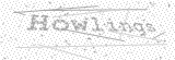 Security Picture (click to change)