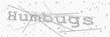 Security Picture (click to change)