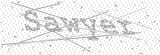 Security Picture (click to change)