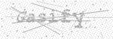 Security Picture (click to change)