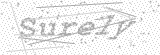 Security Picture (click to change)
