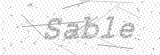 Security Picture (click to change)