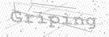 Security Picture (click to change)