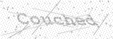 Security Picture (click to change)