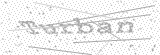 Security Picture (click to change)