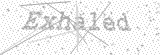 Security Picture (click to change)
