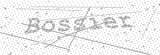 Security Picture (click to change)