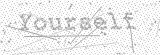 Security Picture (click to change)
