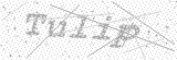 Security Picture (click to change)