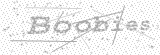 Security Picture (click to change)