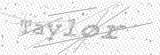Security Picture (click to change)