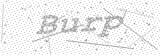 Security Picture (click to change)