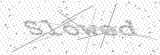 Security Picture (click to change)