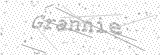 Security Picture (click to change)