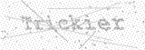 Security Picture (click to change)