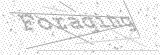 Security Picture (click to change)