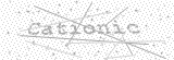 Security Picture (click to change)