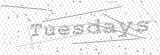Security Picture (click to change)
