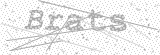 Security Picture (click to change)