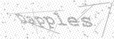 Security Picture (click to change)