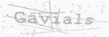 Security Picture (click to change)