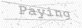 Security Picture (click to change)