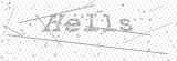 Security Picture (click to change)