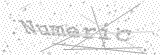 Security Picture (click to change)